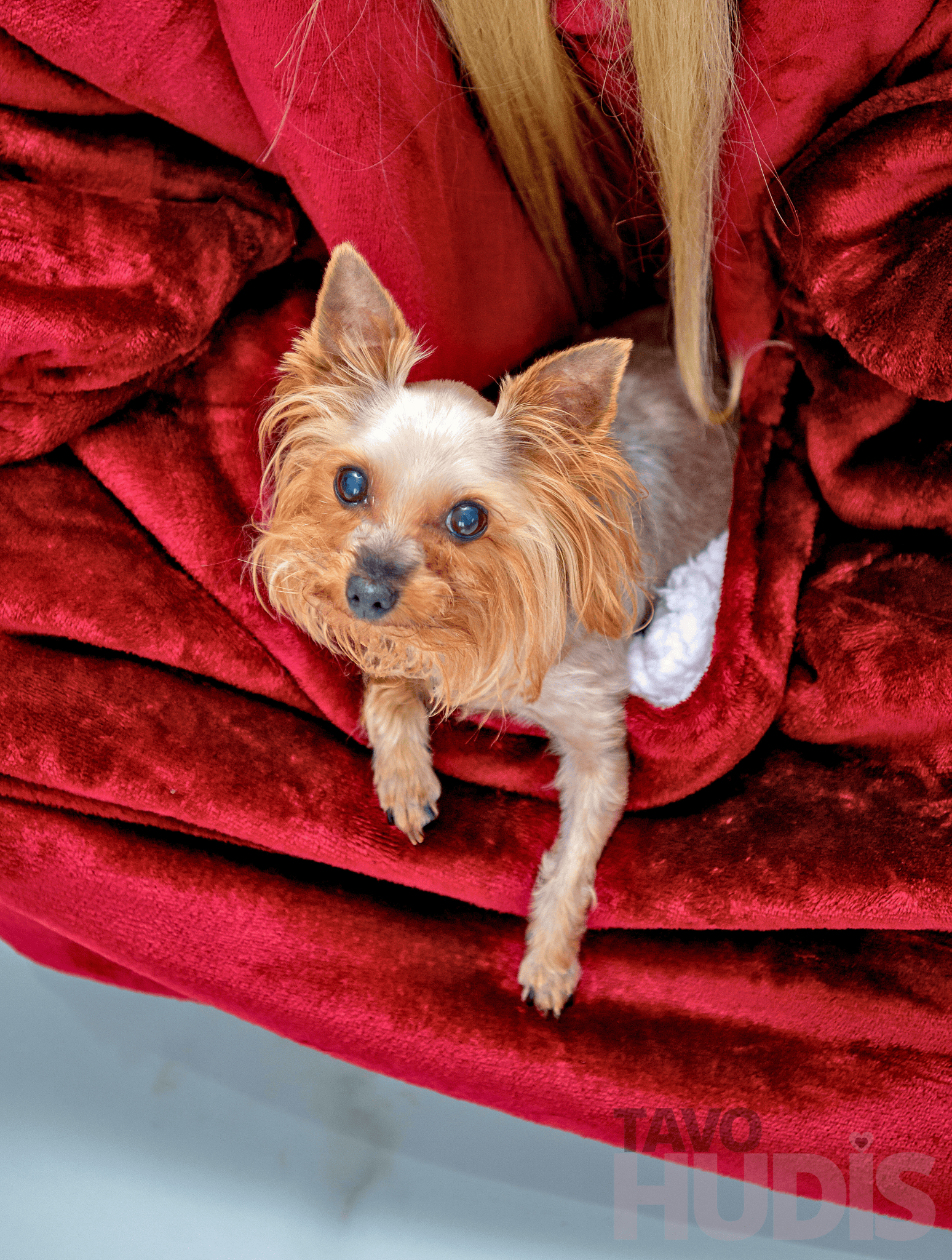 Red Kangaroo Blanket Hoodie