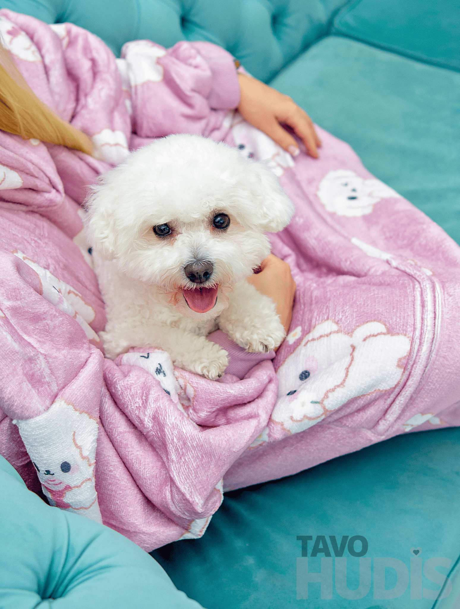 Bichons Kangaroo Blanket Hoodie